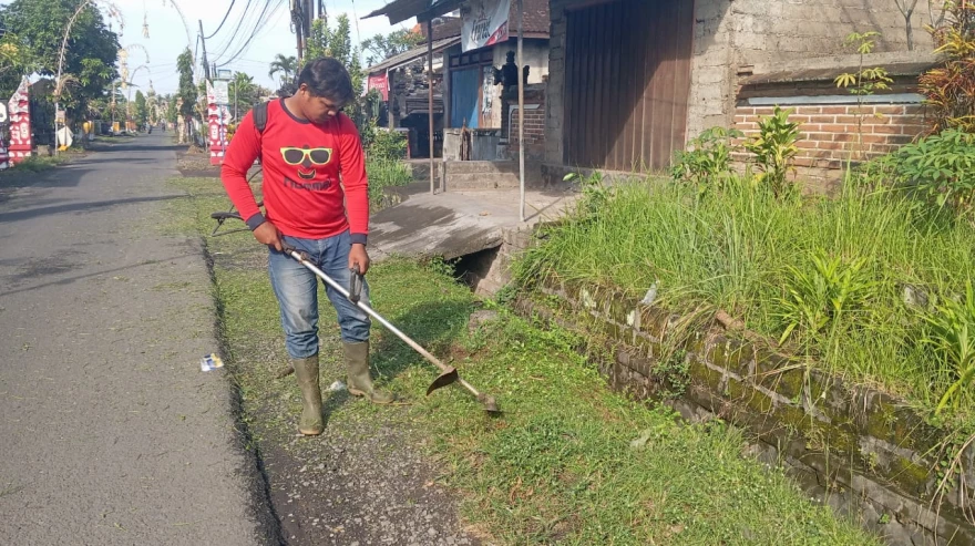 Pemotongan Rumput di Sepanjang Jalan Desa Penarukan untuk Menjaga Kebersihan Lingkungan