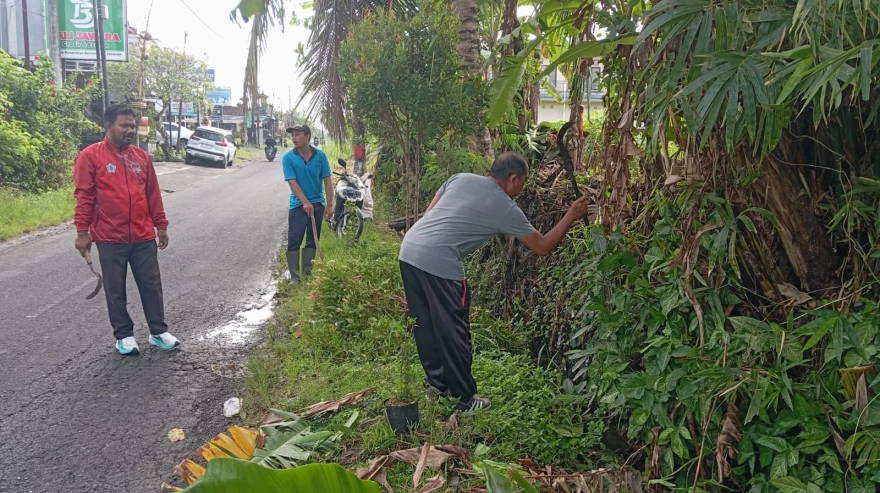 Bersama Menanam untuk Desa Penarukan yang Lebih Hijau dan Asri